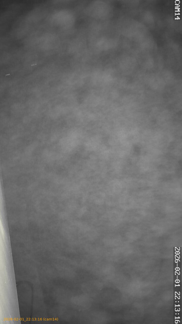 thumbnail_20260201221316