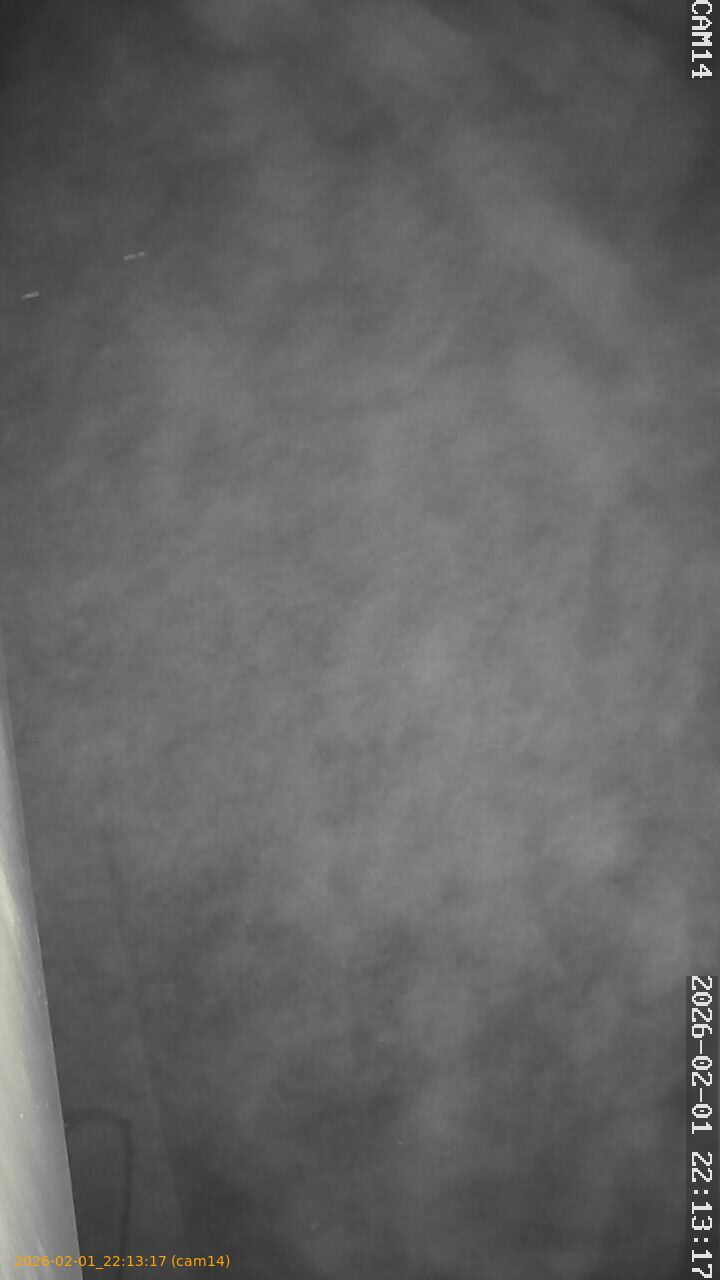 thumbnail_20260201221317