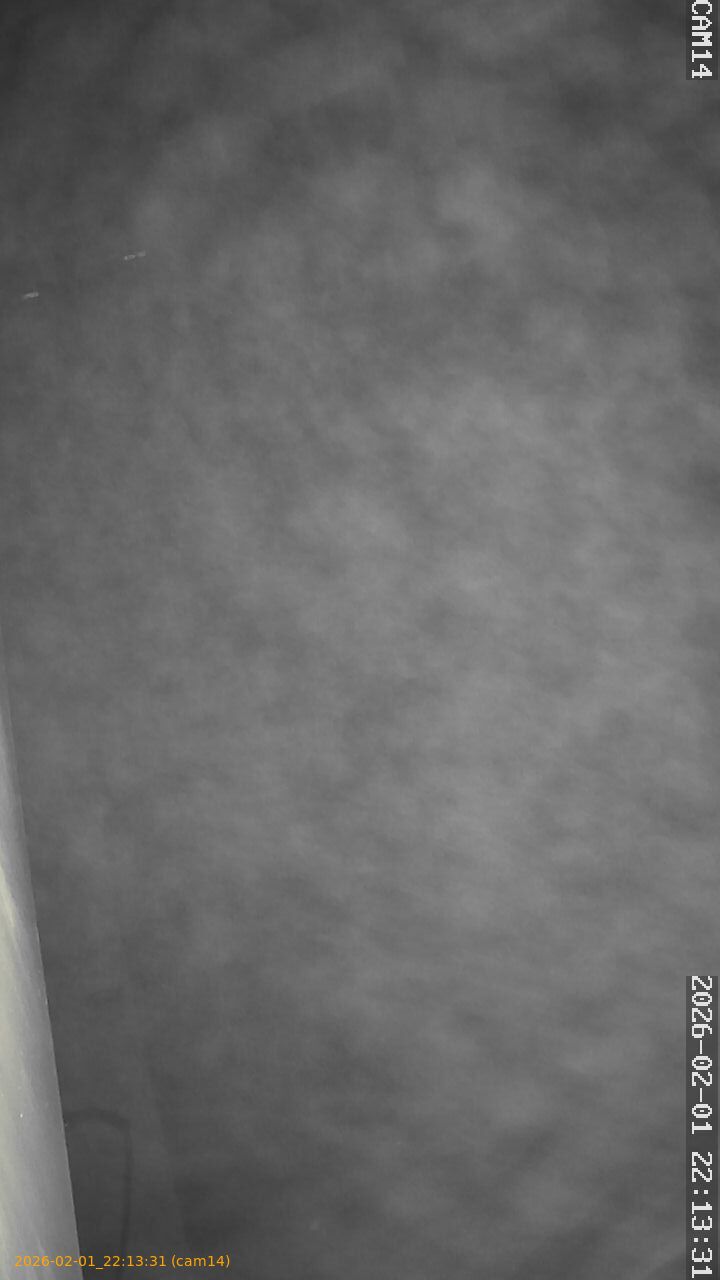 thumbnail_20260201221331