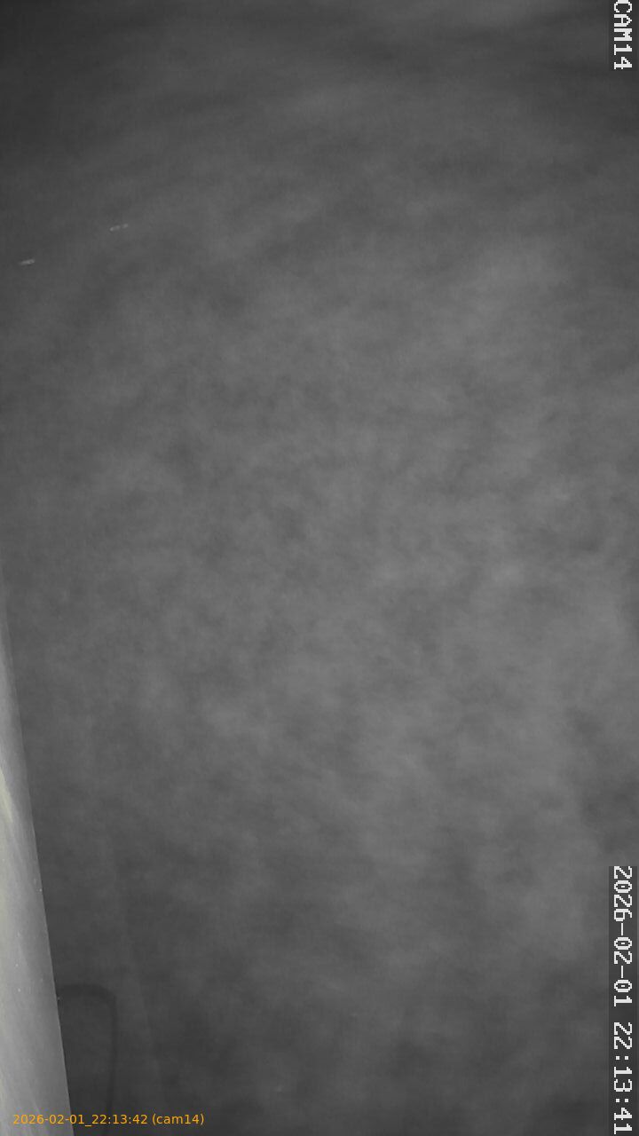 thumbnail_20260201221341