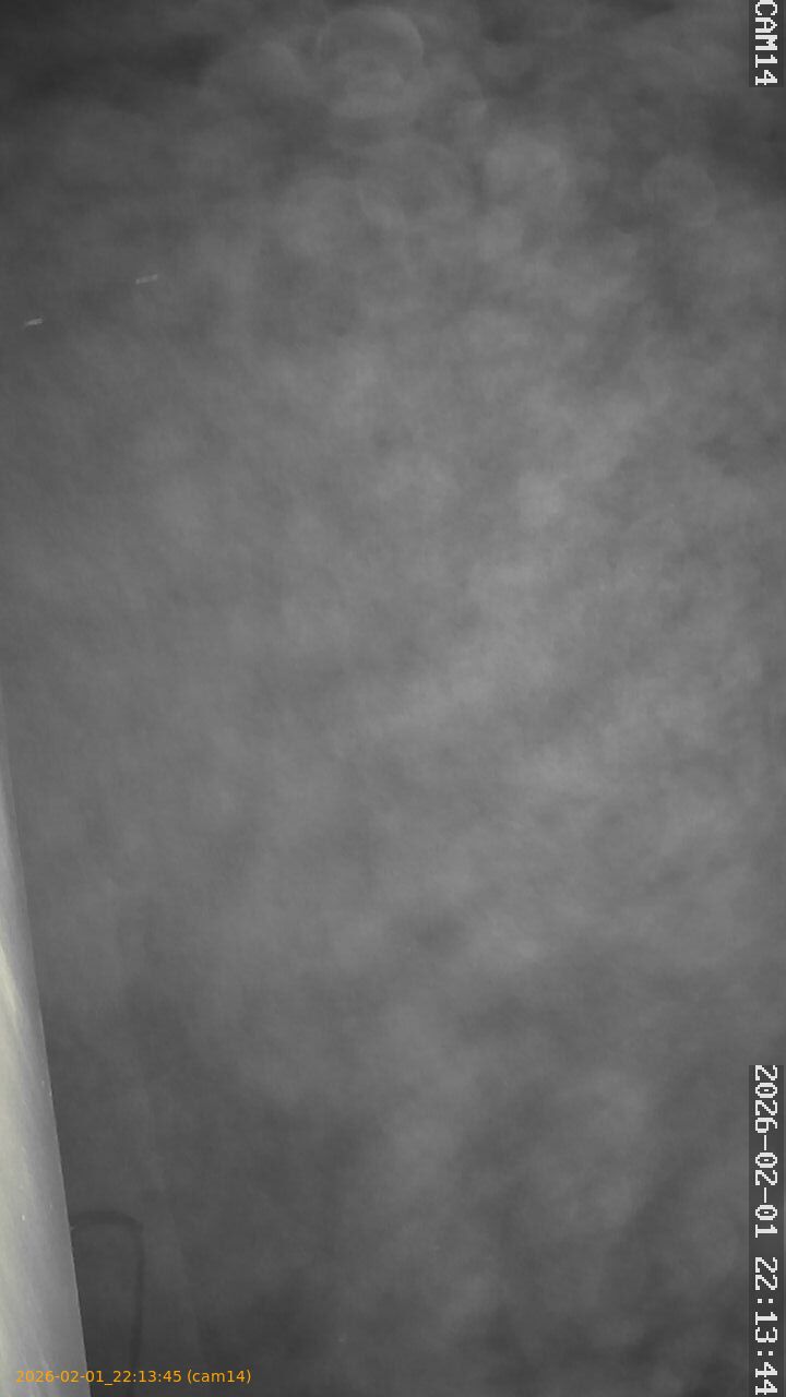 thumbnail_20260201221345