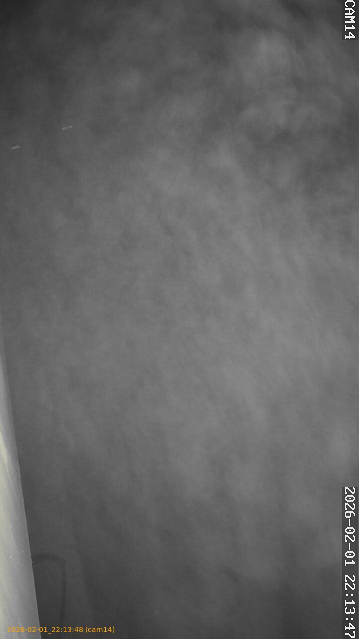 thumbnail_20260201221348