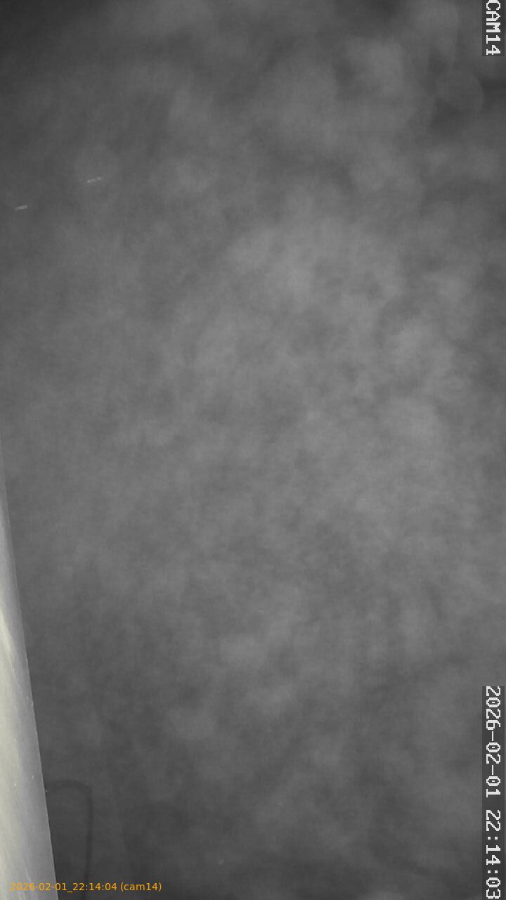 thumbnail_20260201221404