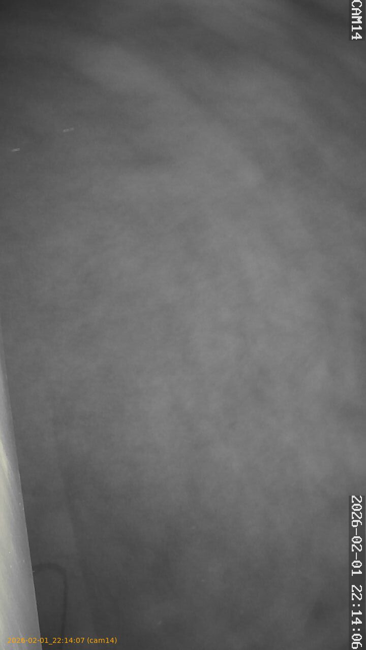 thumbnail_20260201221407