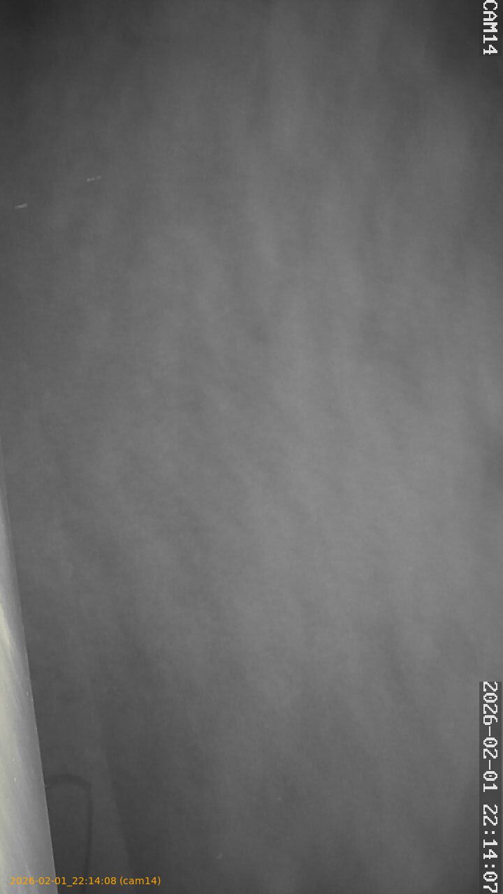 thumbnail_20260201221408