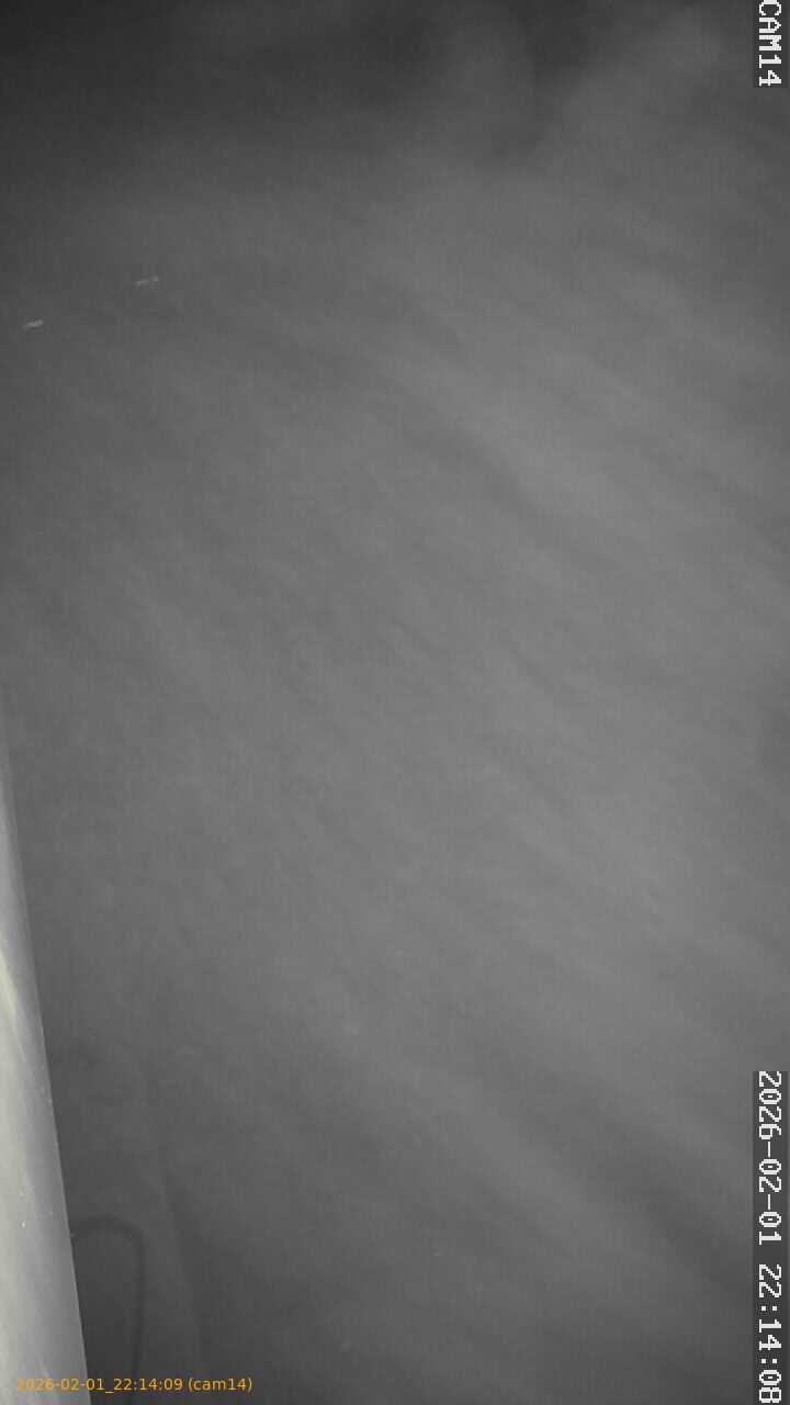 thumbnail_20260201221409