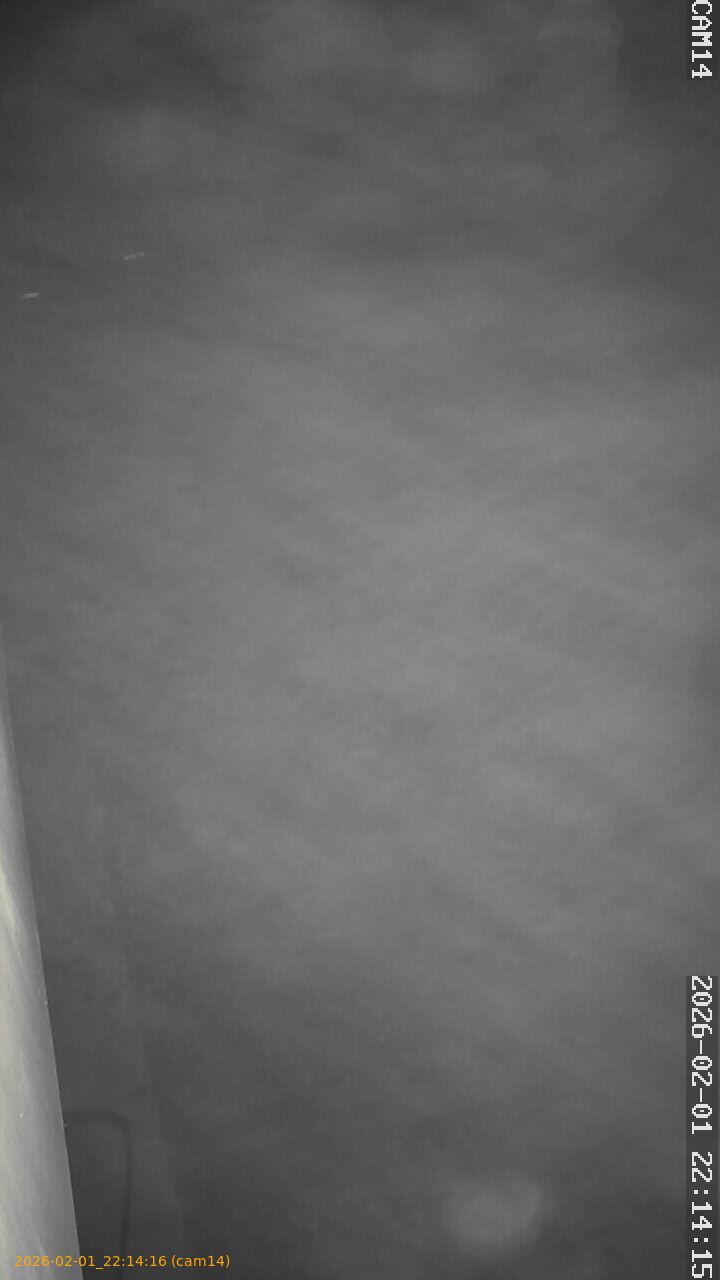 thumbnail_20260201221416