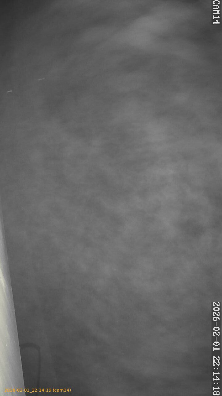 thumbnail_20260201221419