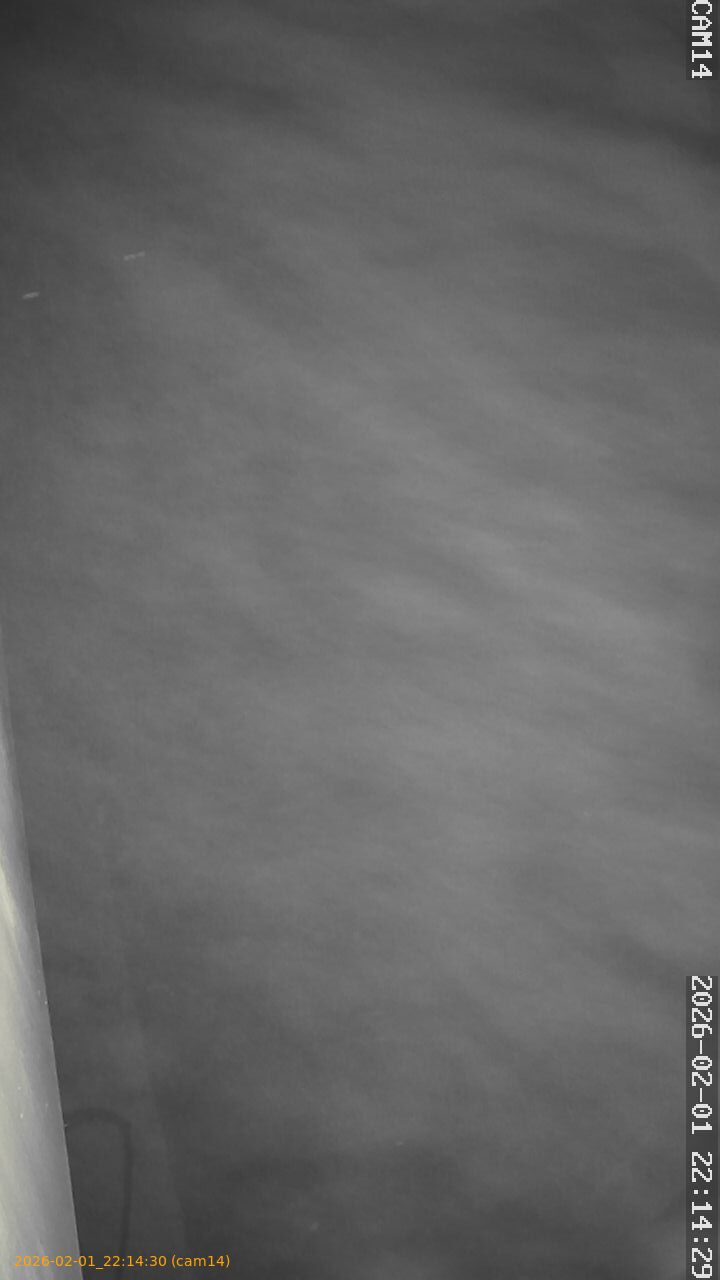 thumbnail_20260201221430