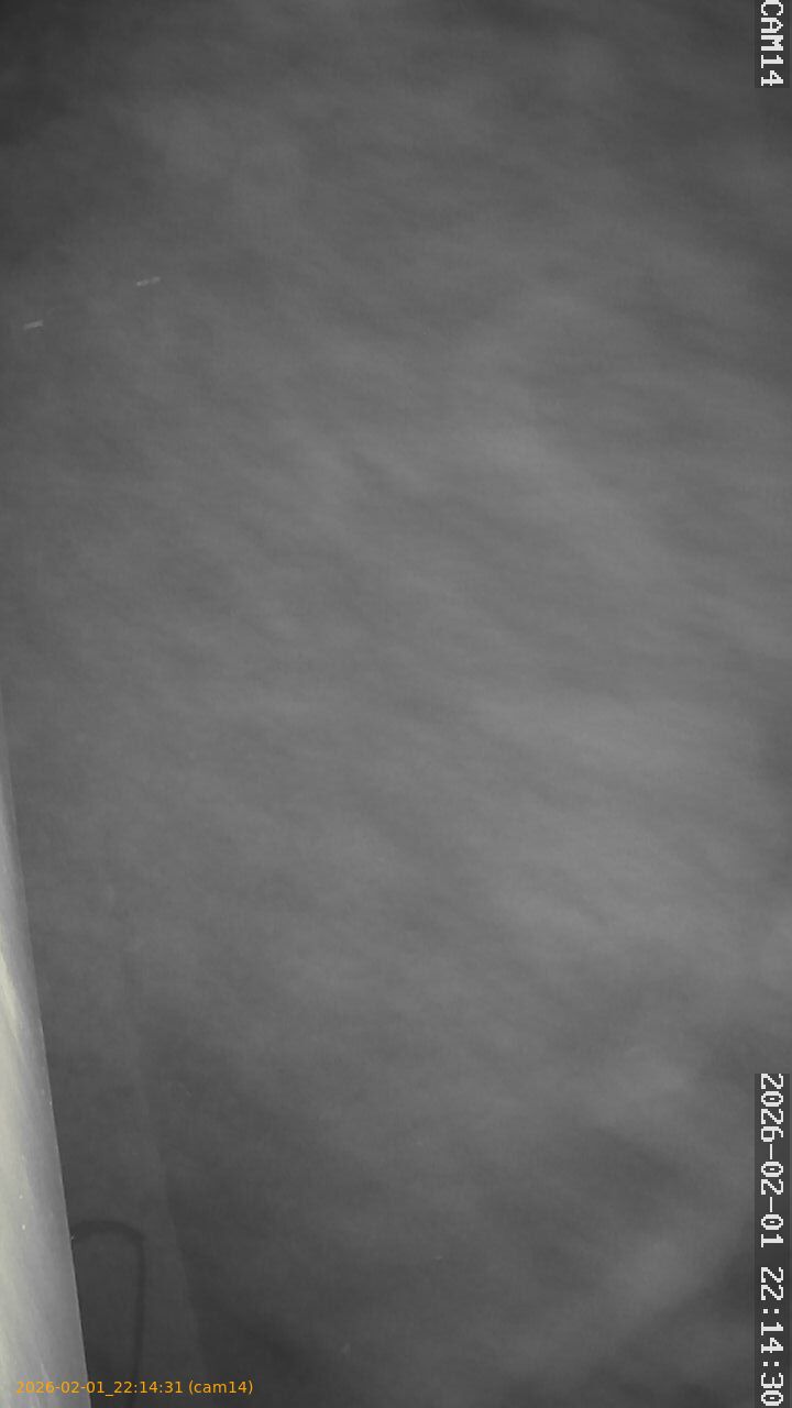 thumbnail_20260201221431