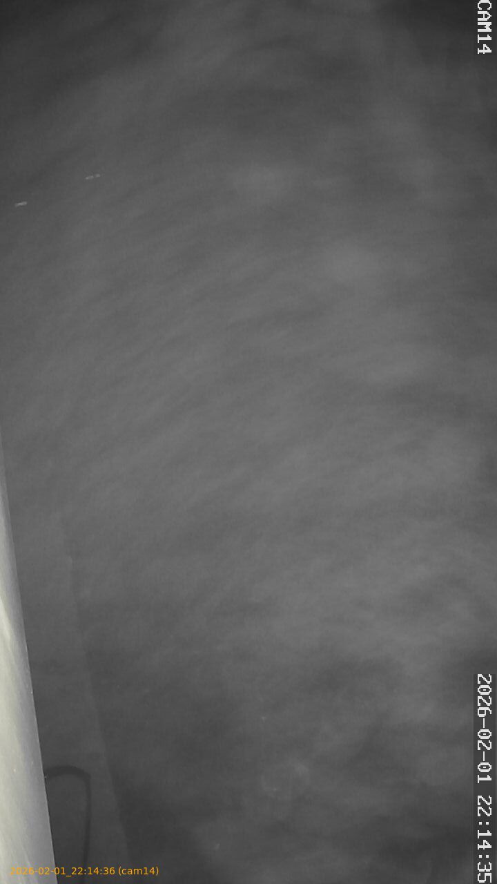 thumbnail_20260201221436