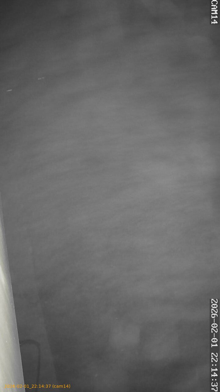 thumbnail_20260201221437