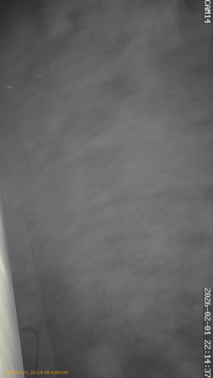 thumbnail_20260201221438