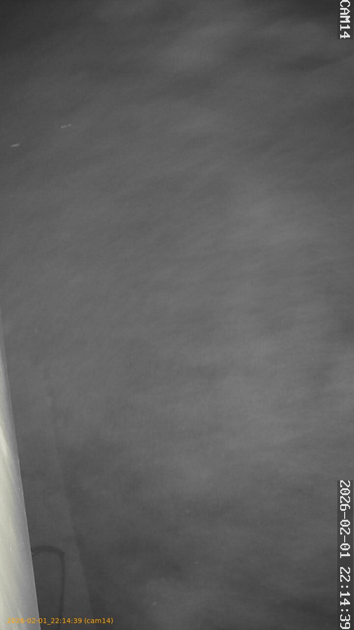 thumbnail_20260201221439