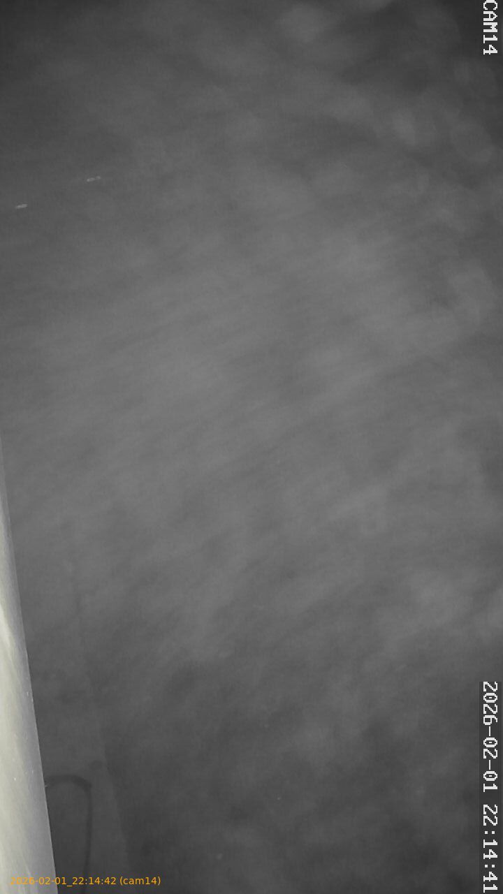 thumbnail_20260201221442