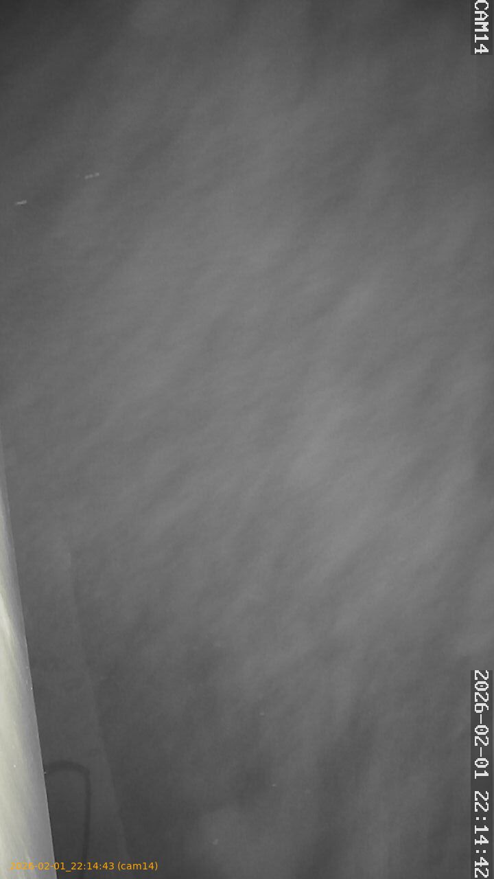 thumbnail_20260201221443