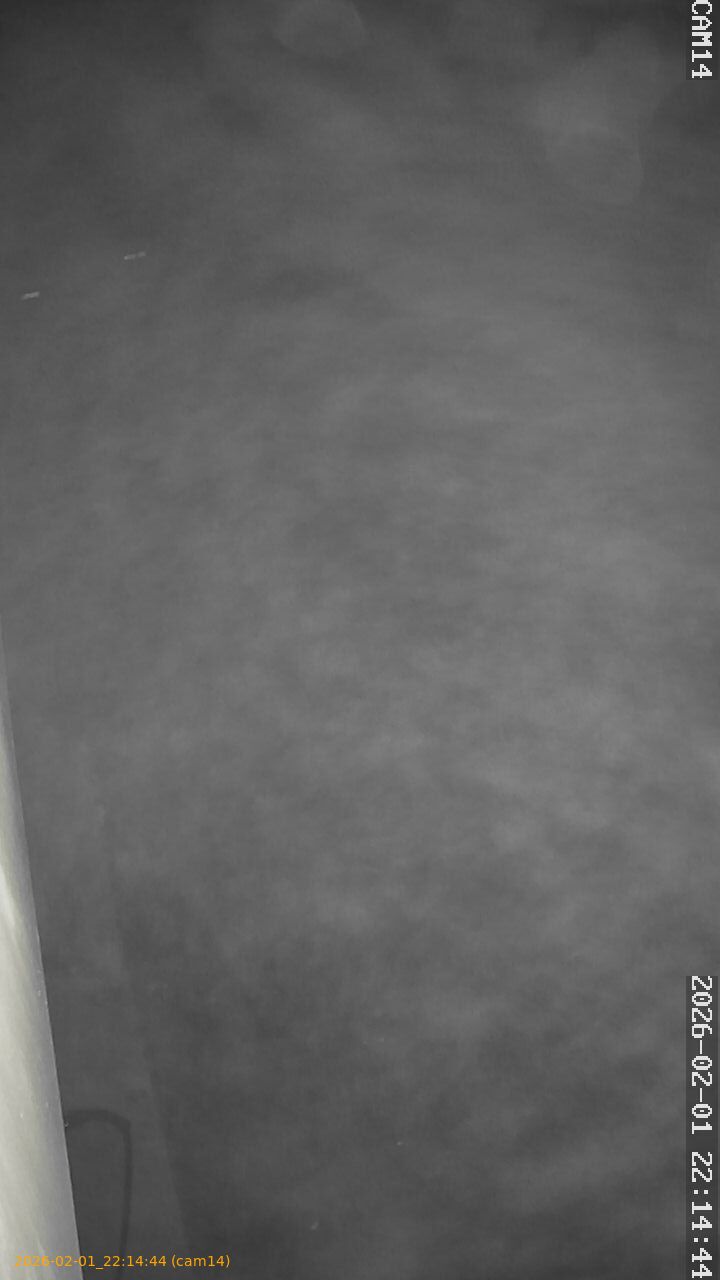 thumbnail_20260201221444