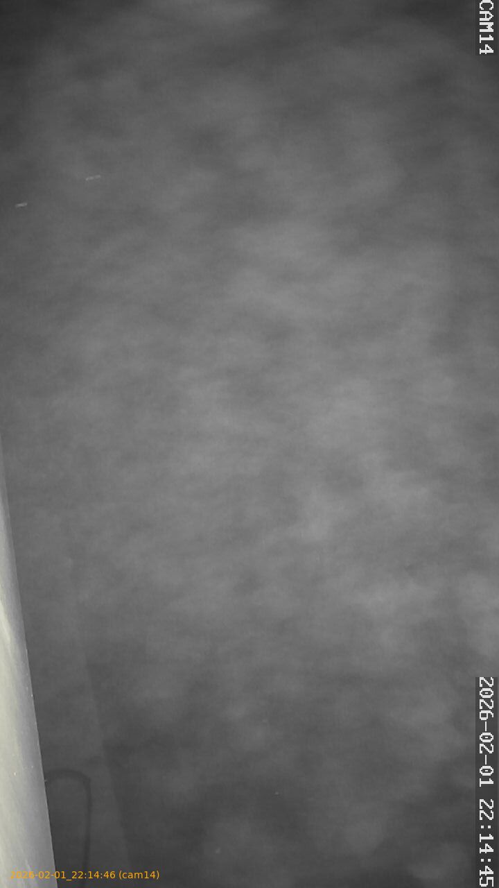 thumbnail_20260201221446