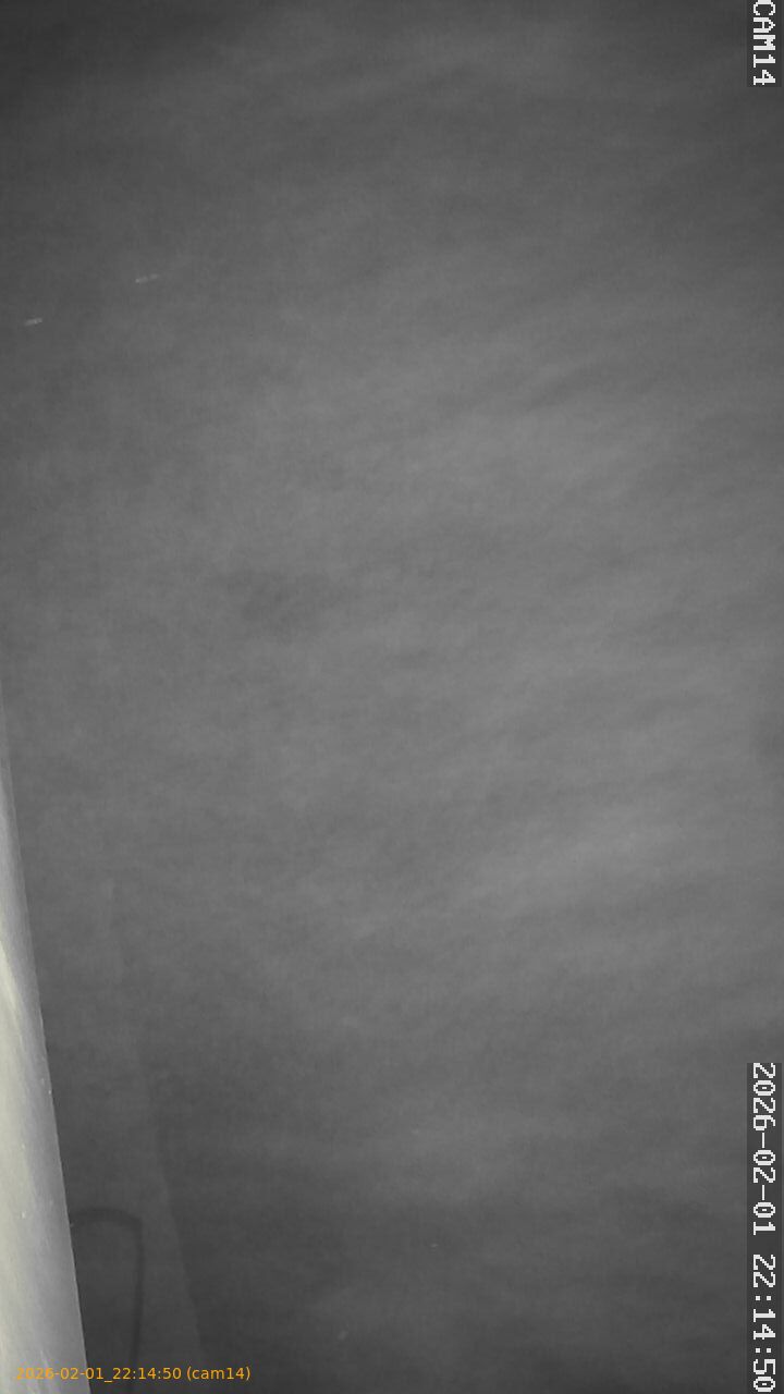 thumbnail_20260201221450