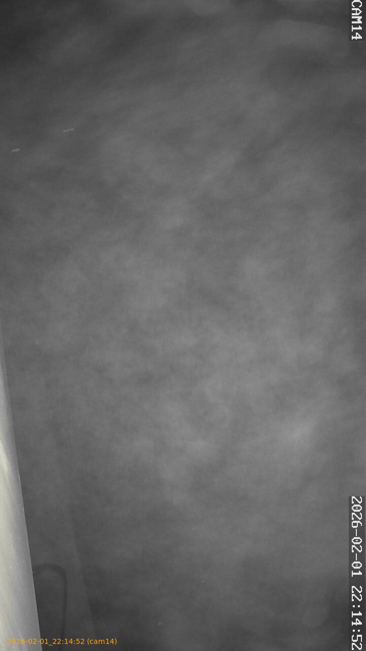 thumbnail_20260201221452