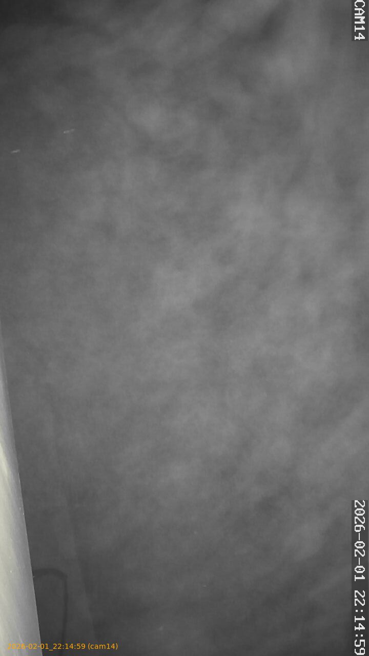 thumbnail_20260201221459