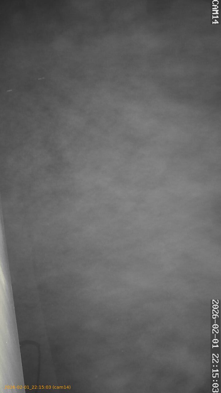 thumbnail_20260201221503