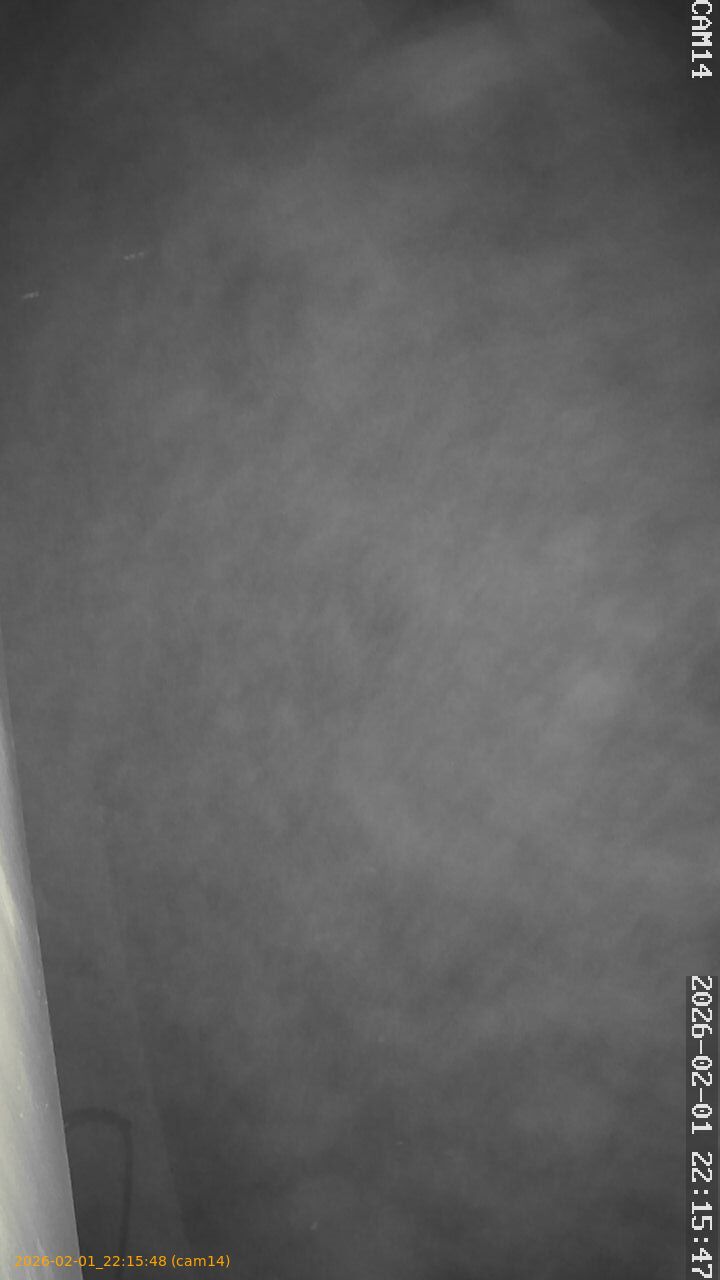 thumbnail_20260201221548