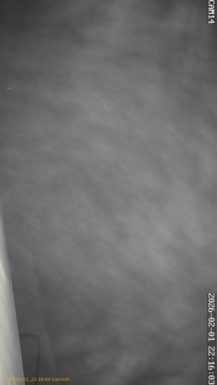 thumbnail_20260201221604