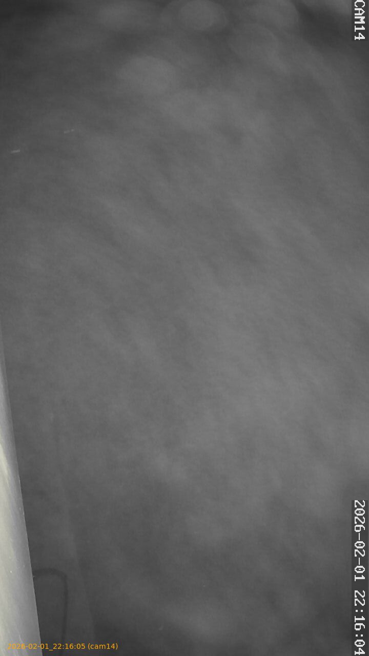 thumbnail_20260201221605