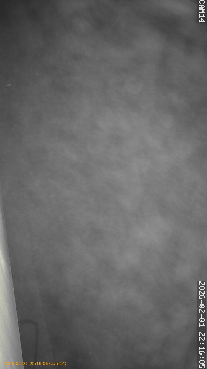 thumbnail_20260201221606