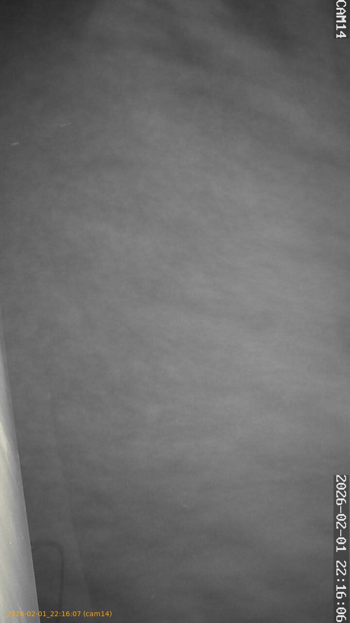 thumbnail_20260201221607