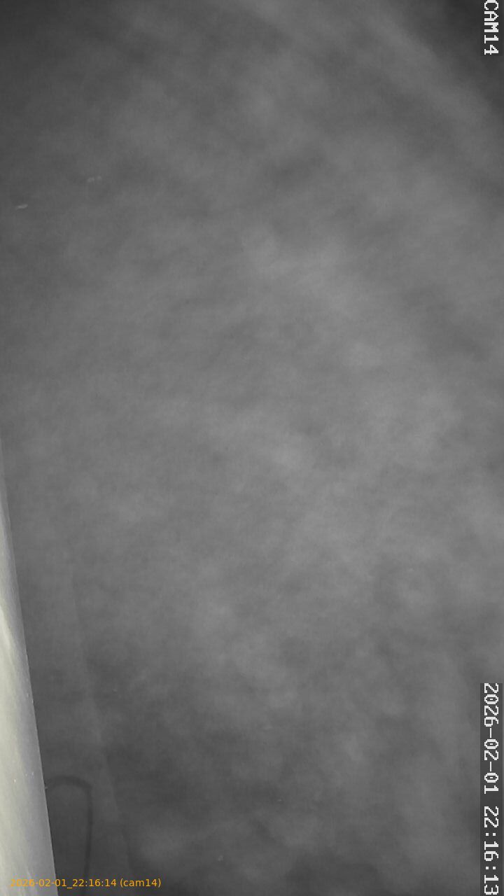 thumbnail_20260201221614