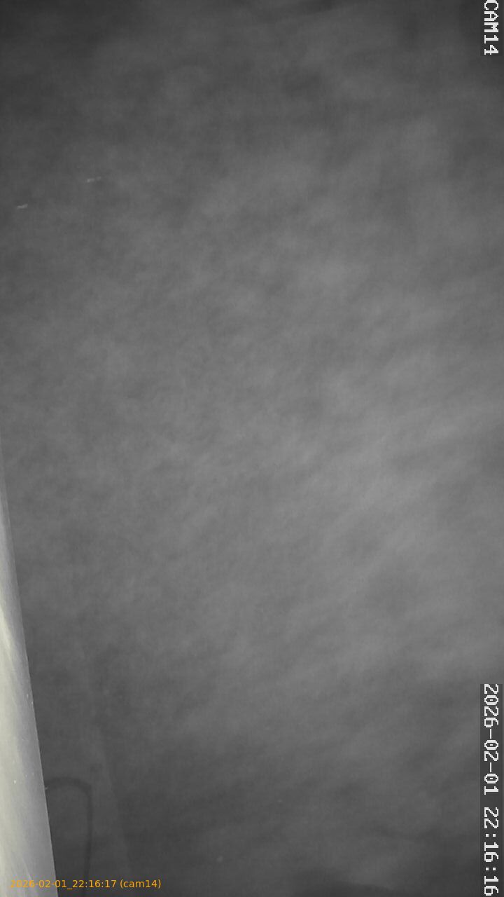 thumbnail_20260201221617