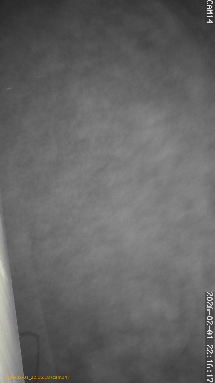 thumbnail_20260201221618