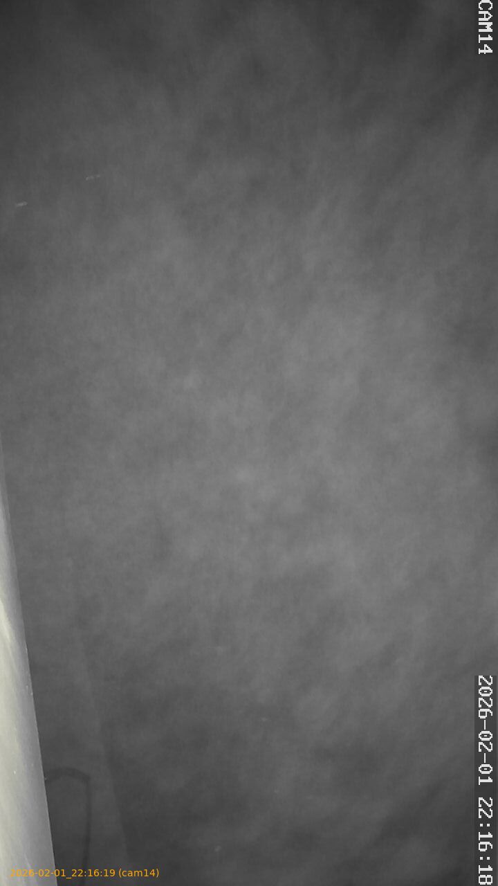 thumbnail_20260201221619