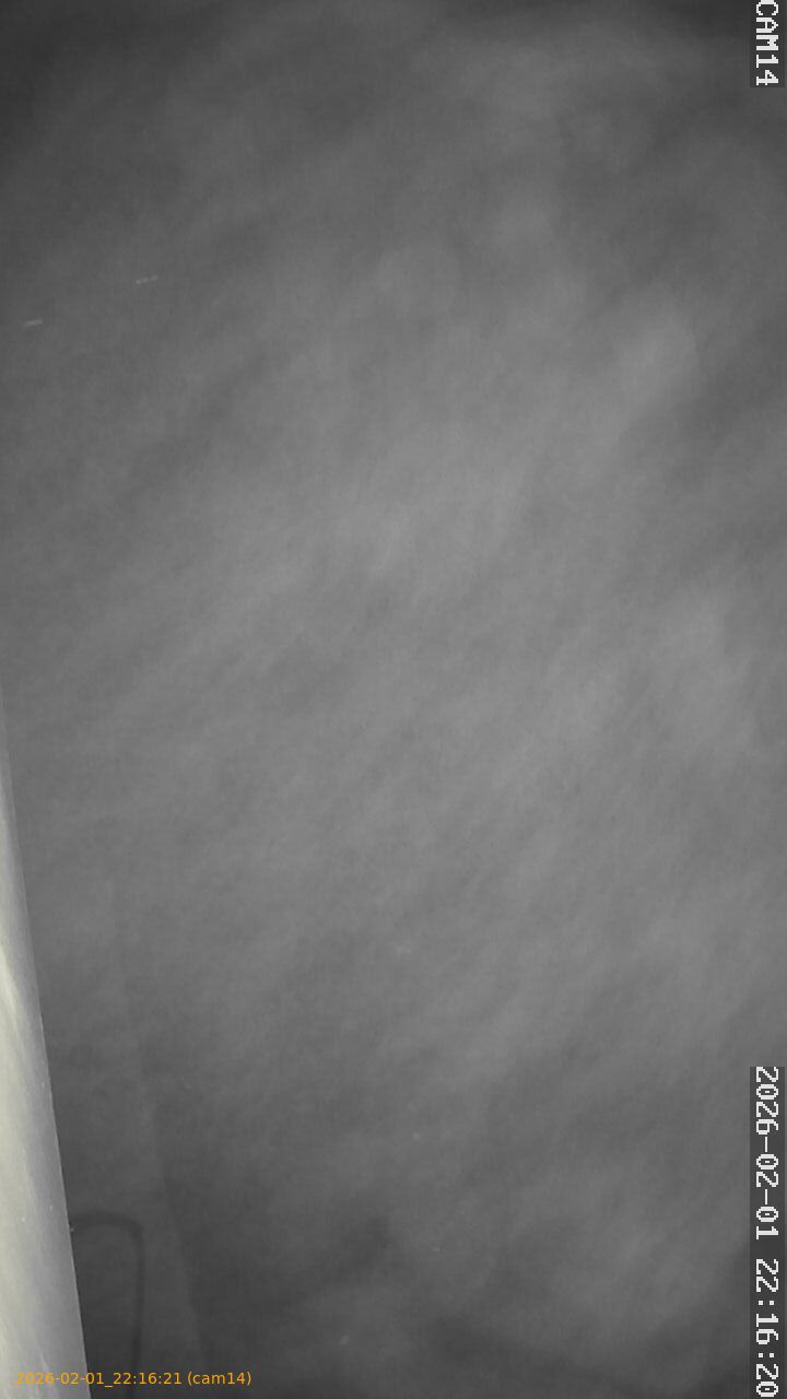 thumbnail_20260201221621