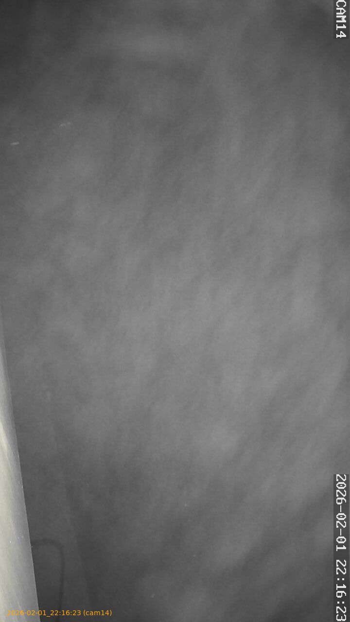 thumbnail_20260201221623