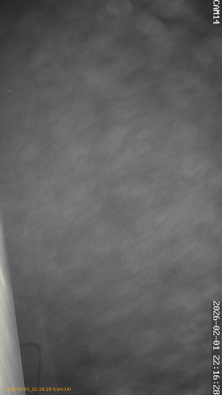 thumbnail_20260201221628