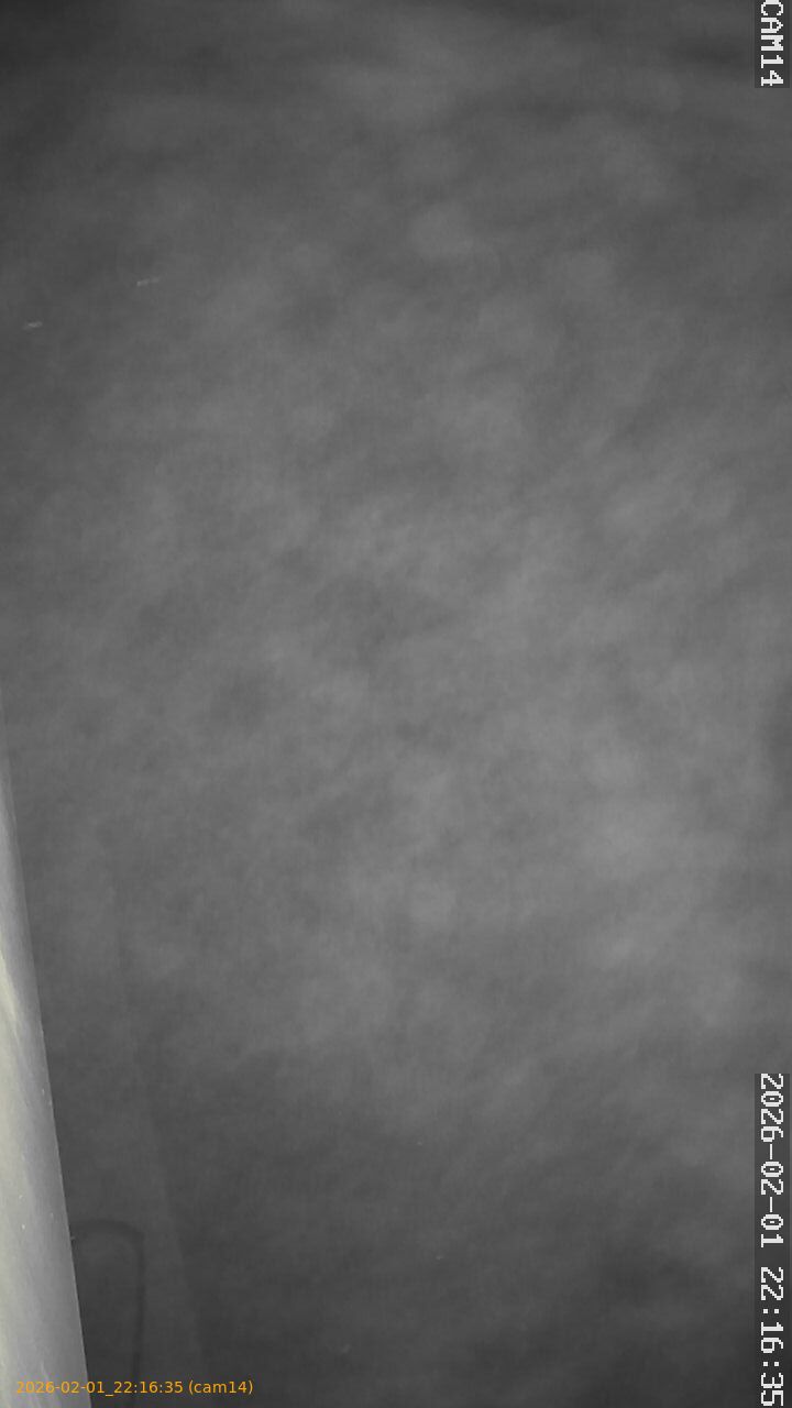 thumbnail_20260201221635