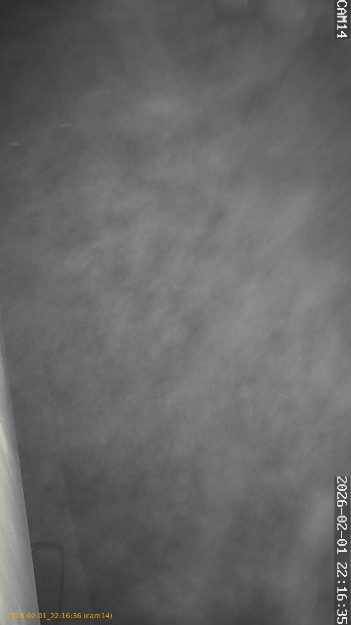 thumbnail_20260201221636