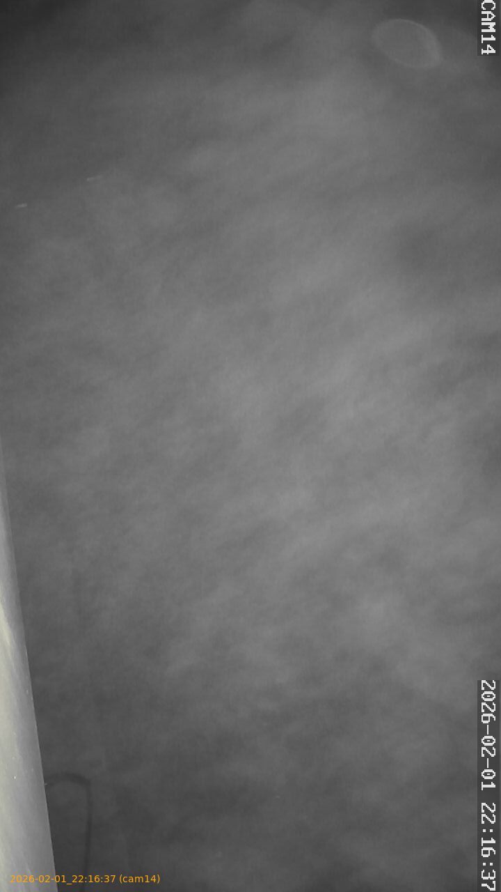 thumbnail_20260201221637