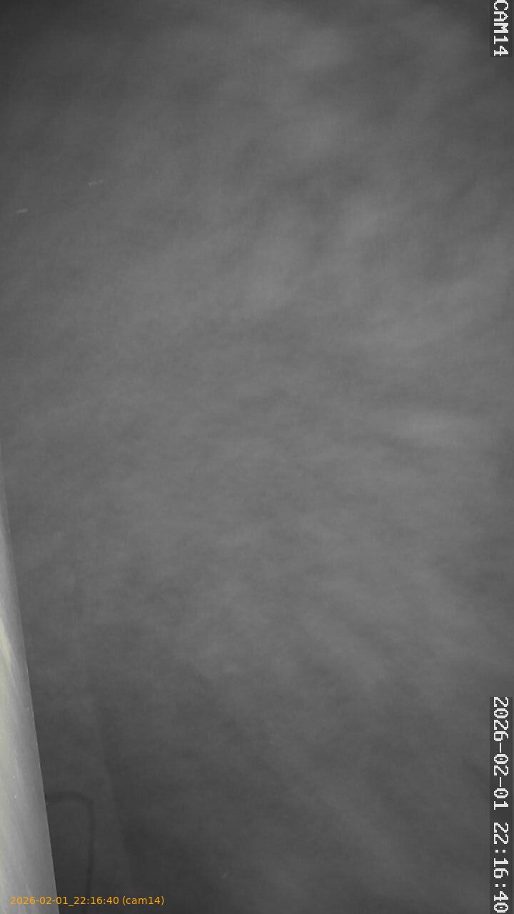 thumbnail_20260201221640