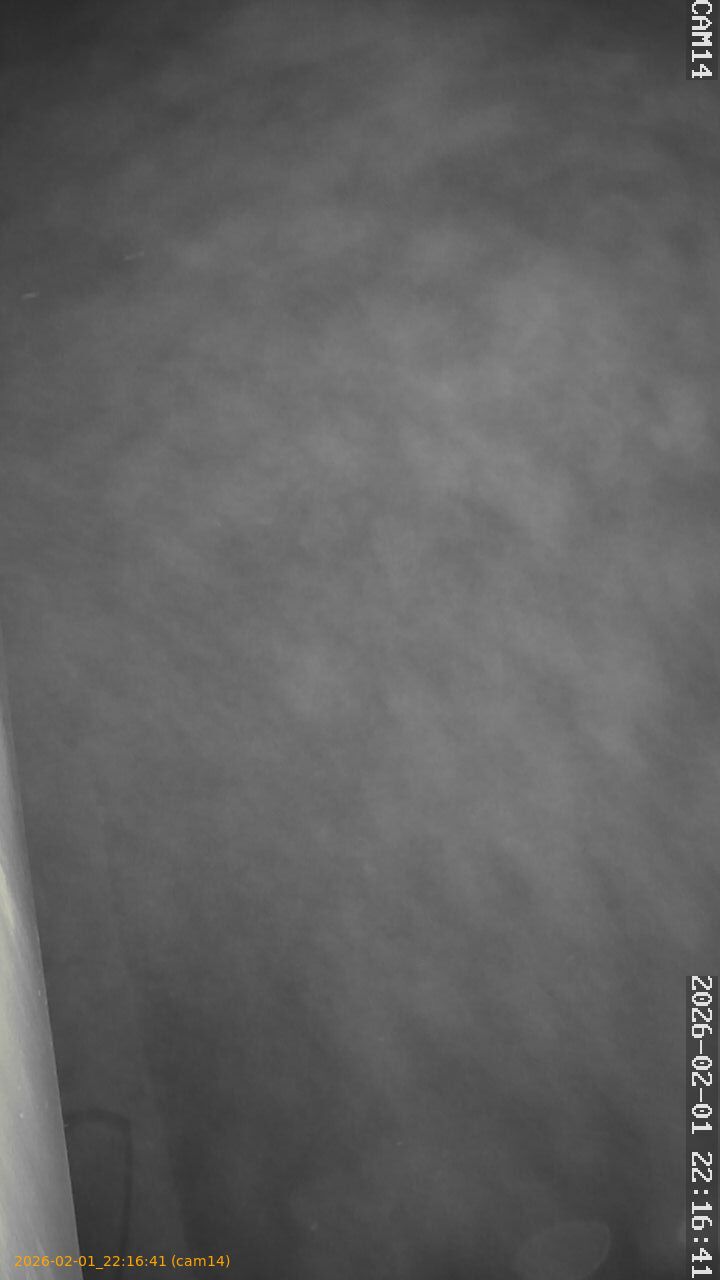 thumbnail_20260201221641