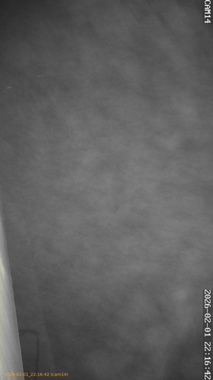 thumbnail_20260201221642