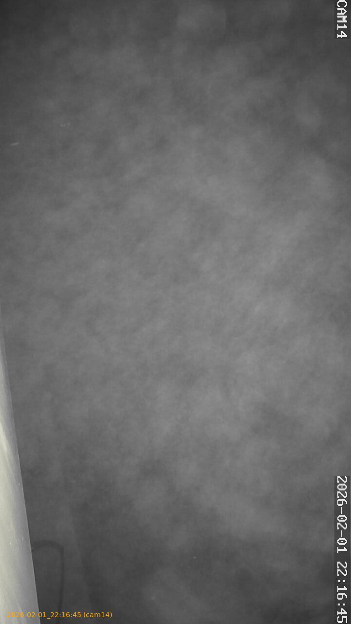 thumbnail_20260201221645