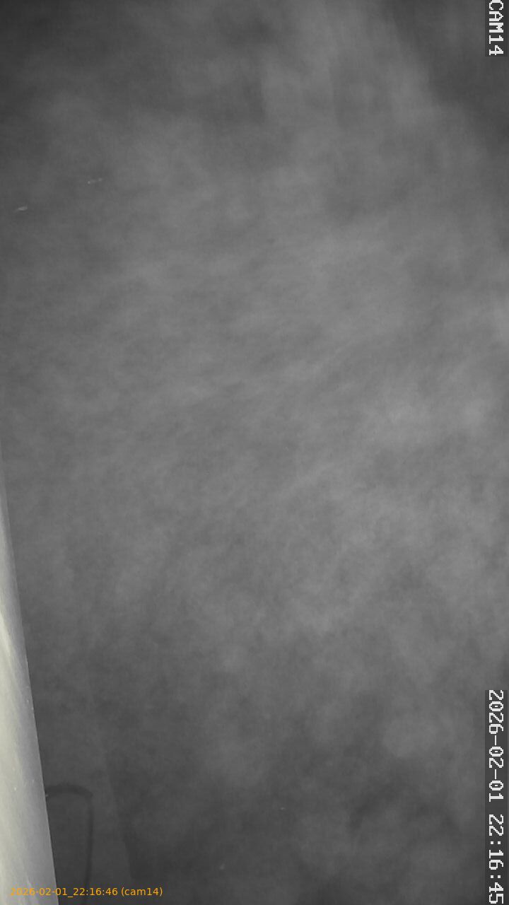 thumbnail_20260201221646