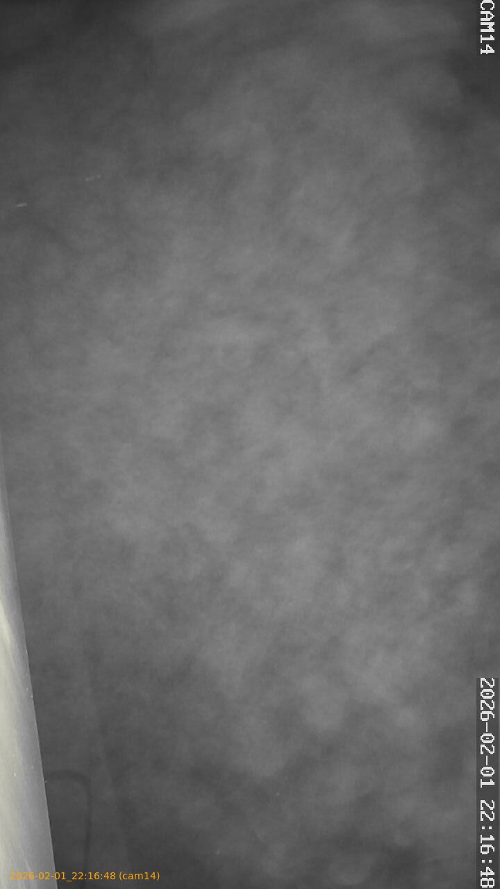 thumbnail_20260201221648