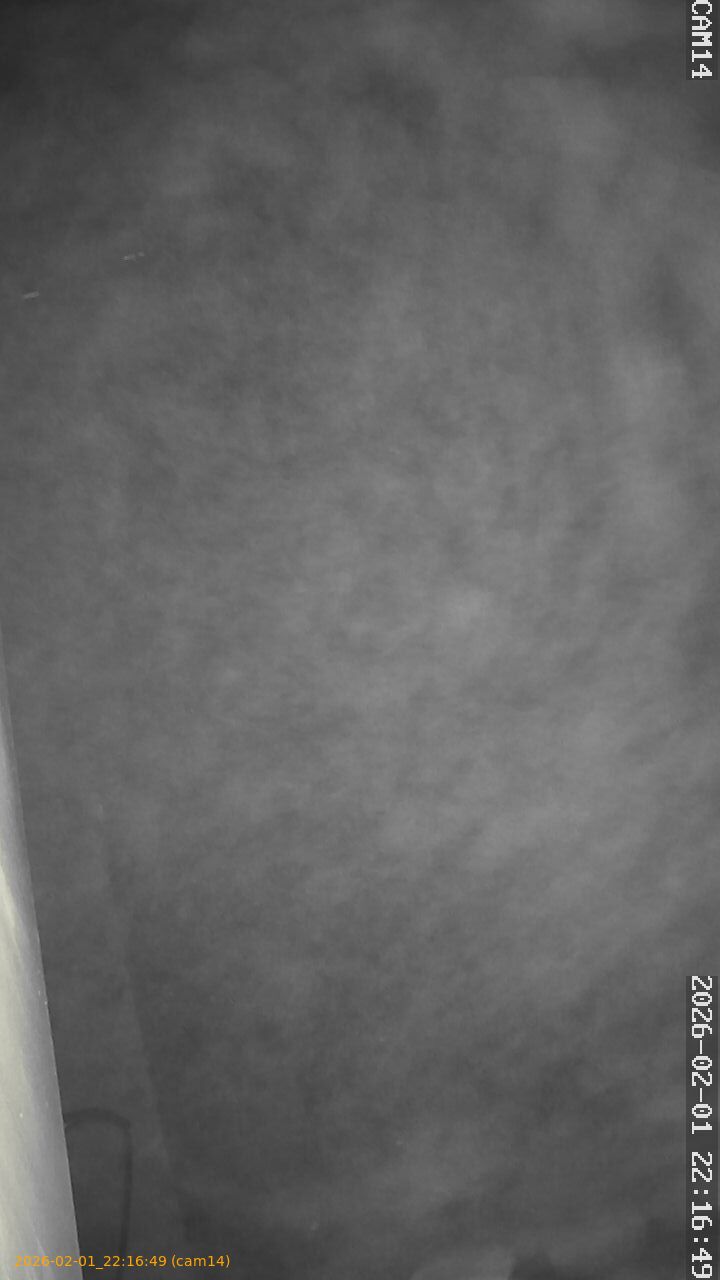 thumbnail_20260201221649