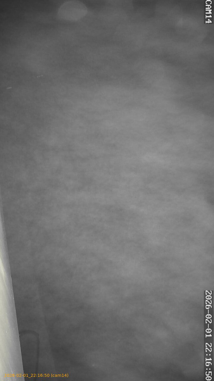 thumbnail_20260201221650