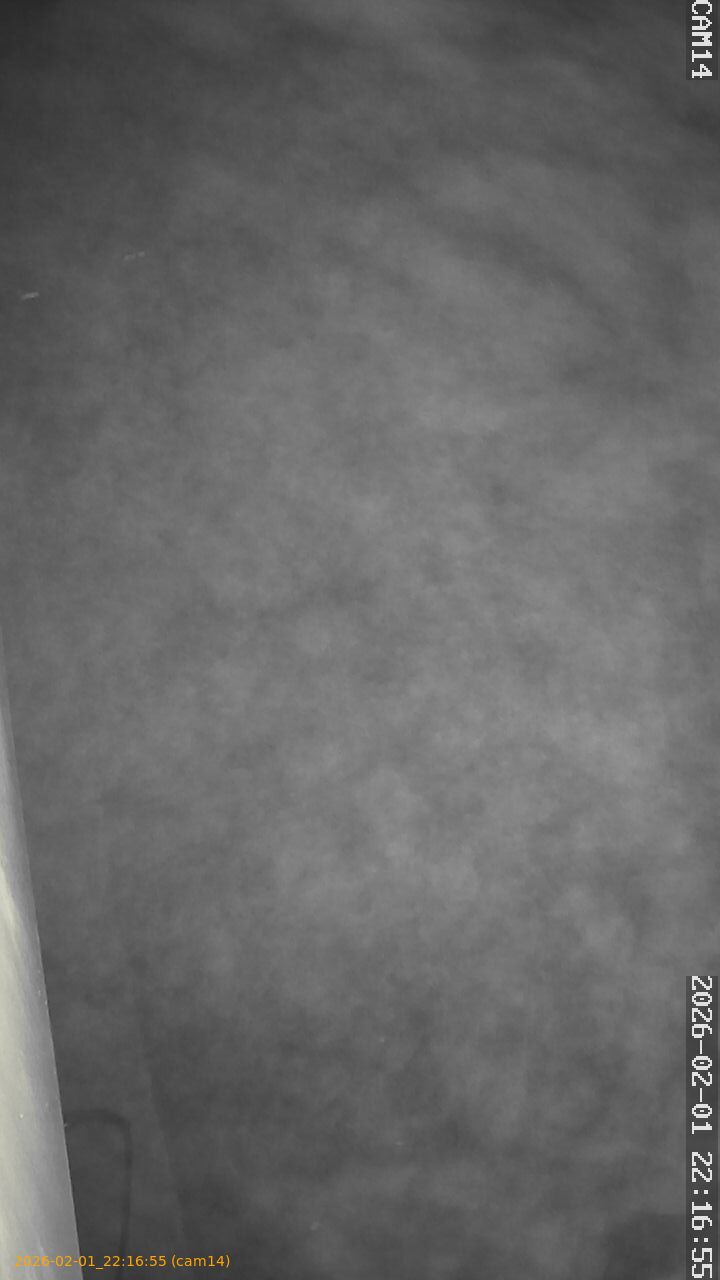 thumbnail_20260201221655